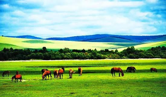 内蒙古的地理、文化与发展的深度研究