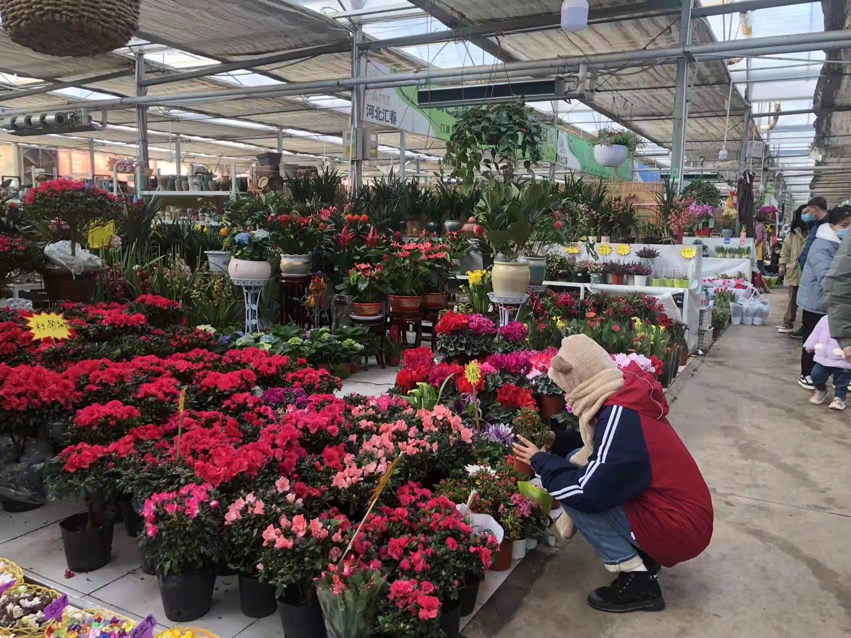 石家庄城市发展的观点碰撞与个人立场探讨