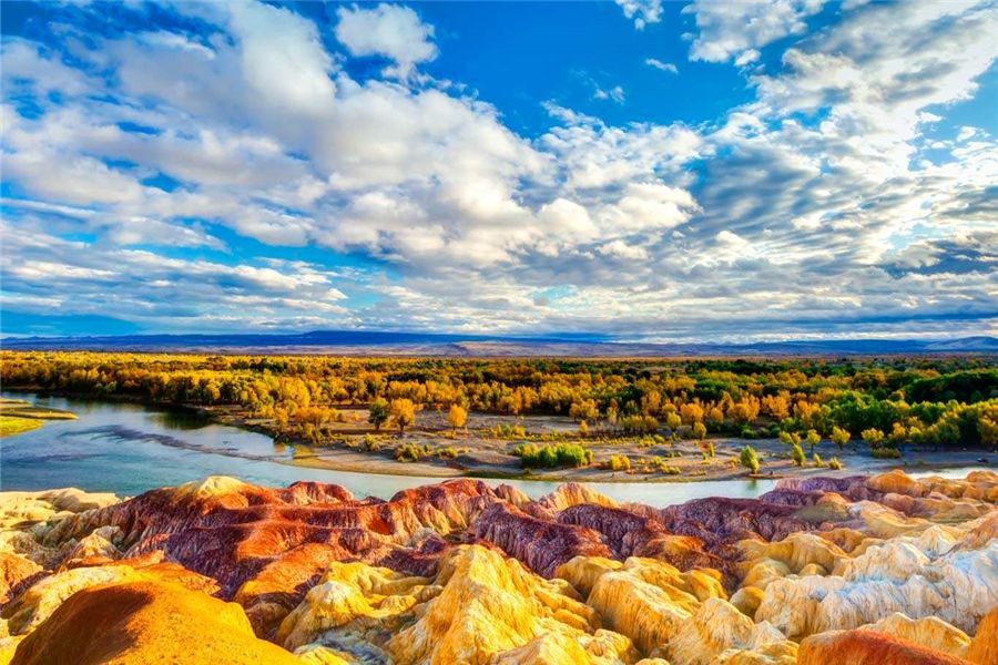 新疆盛邀,尊敬领导与贵宾的温馨聚会